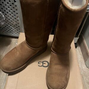 UGG Women's Chestnut Suede Winter Boots